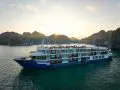 Erina Cruise photo
