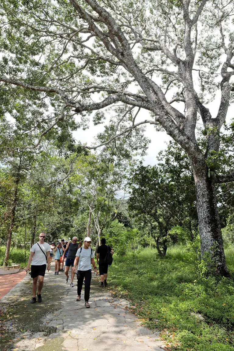 Trekking in Cat Ba National Park