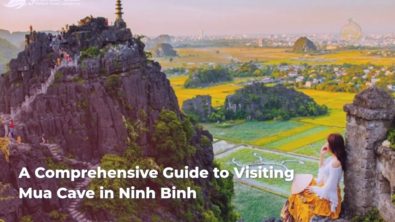 a comprehensive guide to visiting mua cave in ninh binh