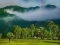 Discovering-Cam-Son-Mountain-A-Cultural-and-Natural-Marvel-of-Vietnam