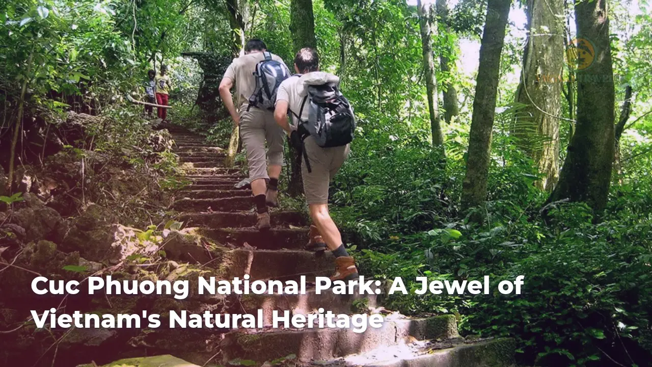cuc phuong national park a jewel of vietnams natural heritage
