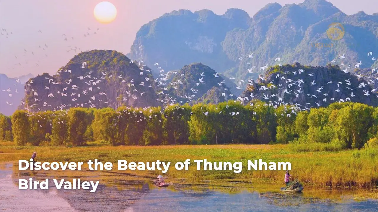 discover the beauty of thung nham bird valley