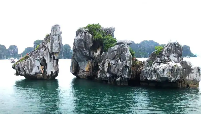 fighting cocks islet hon trong mai ha long 0002