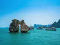 fighting cocks islet hon trong mai ha long 0004
