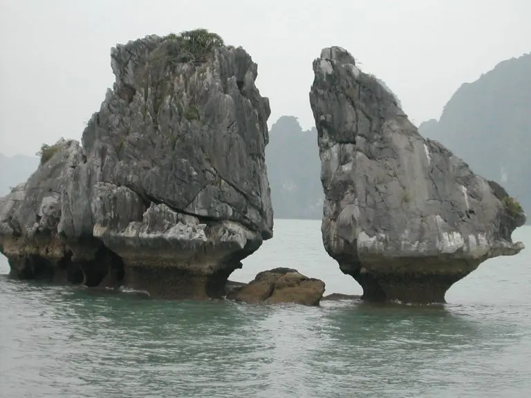 fighting cocks islet hon trong mai ha long 0006
