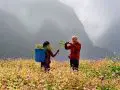 ha giang loop climate overview