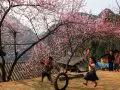 Must-see attractions in ha giang loop by season weather