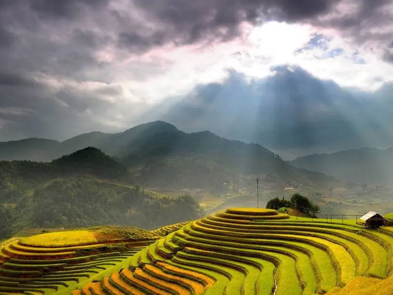 Hoang Su Phi