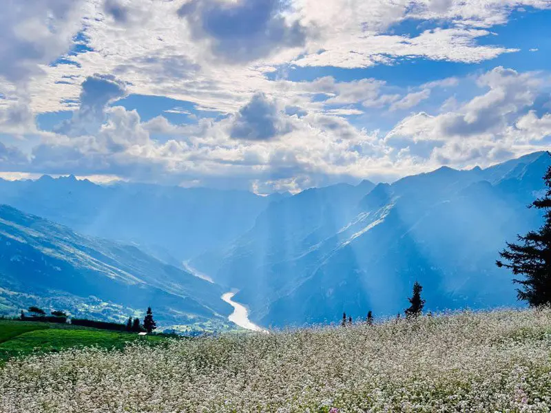Suoi Thau Steppe