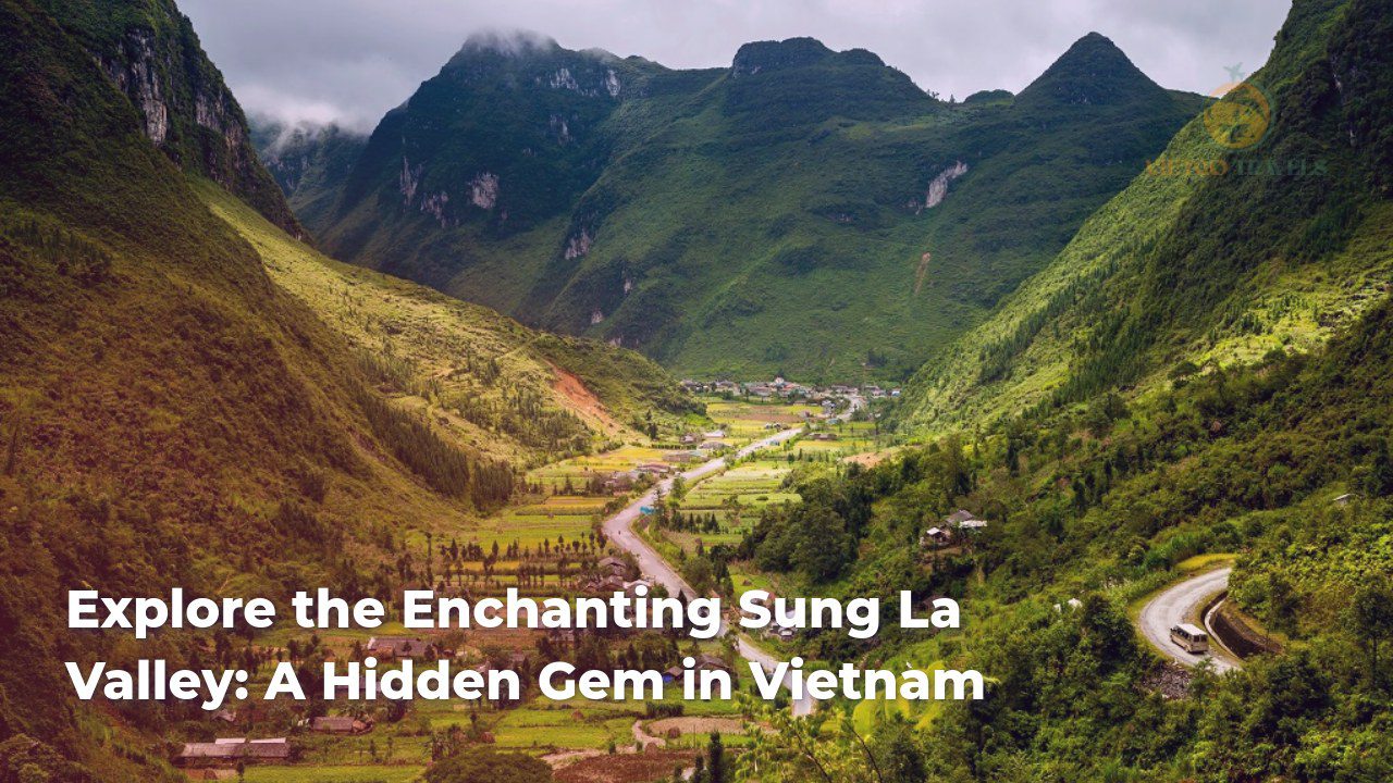explore the enchanting sung la valley a hidden gem in vietnam