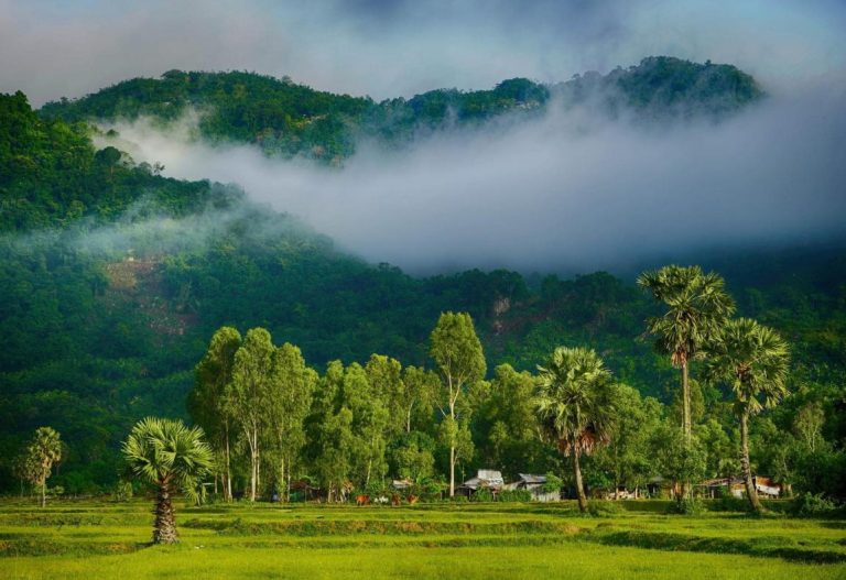 Discovering-Cam-Son-Mountain-A-Cultural-and-Natural-Marvel-of-Vietnam