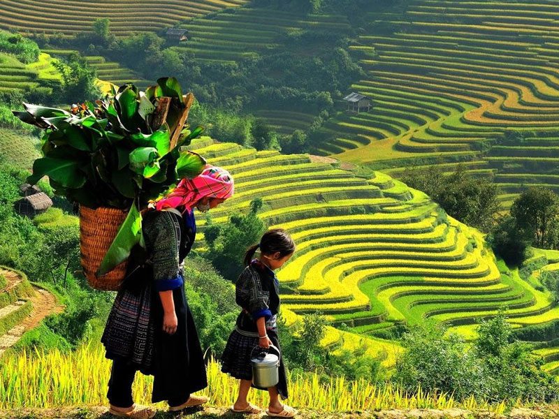 Hoang Su Phi