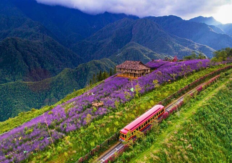 muong hoa valley,muong hoa valley trek,muong hoa valley map,muong hoa valley sapa,muong hoa valley hotel,muong hoa valley tour,muong hoa valley cable car,muong hoa valley entrance fee,muong hoa valley photos,muong hoa valley reviews