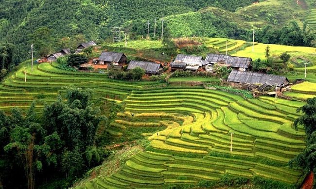 sin chai village,sin chai village photos,sin chai village reviews,sin chai village entrance fee,sin chai village vietnam,sin chai village trek,sin chai village weather,sin chai village map,sin chai village price,cat cat sin chai village