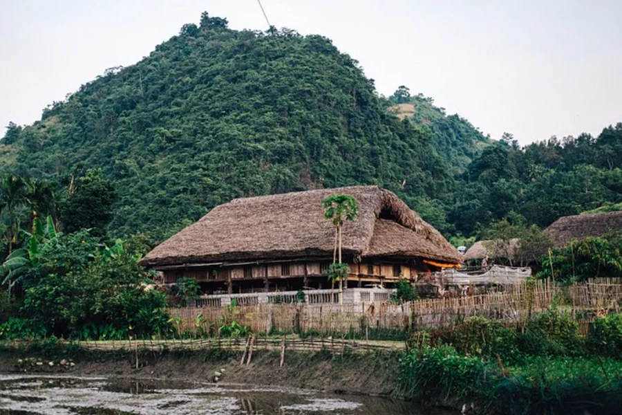 Unique Features of Each Homestay on the Loop Ha Giang Homestays