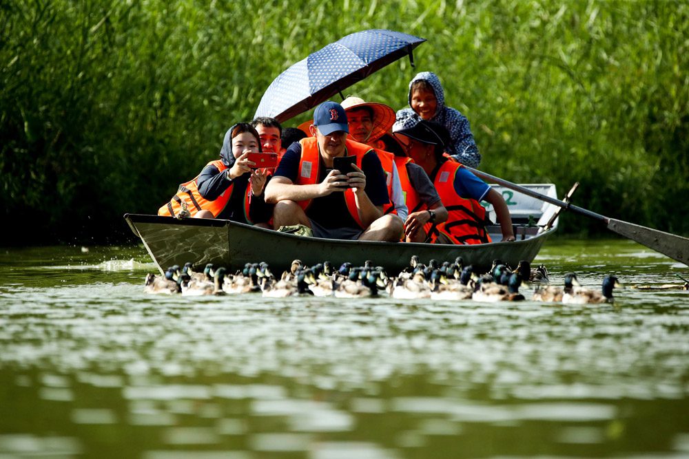 Wildlife viewing opportunities