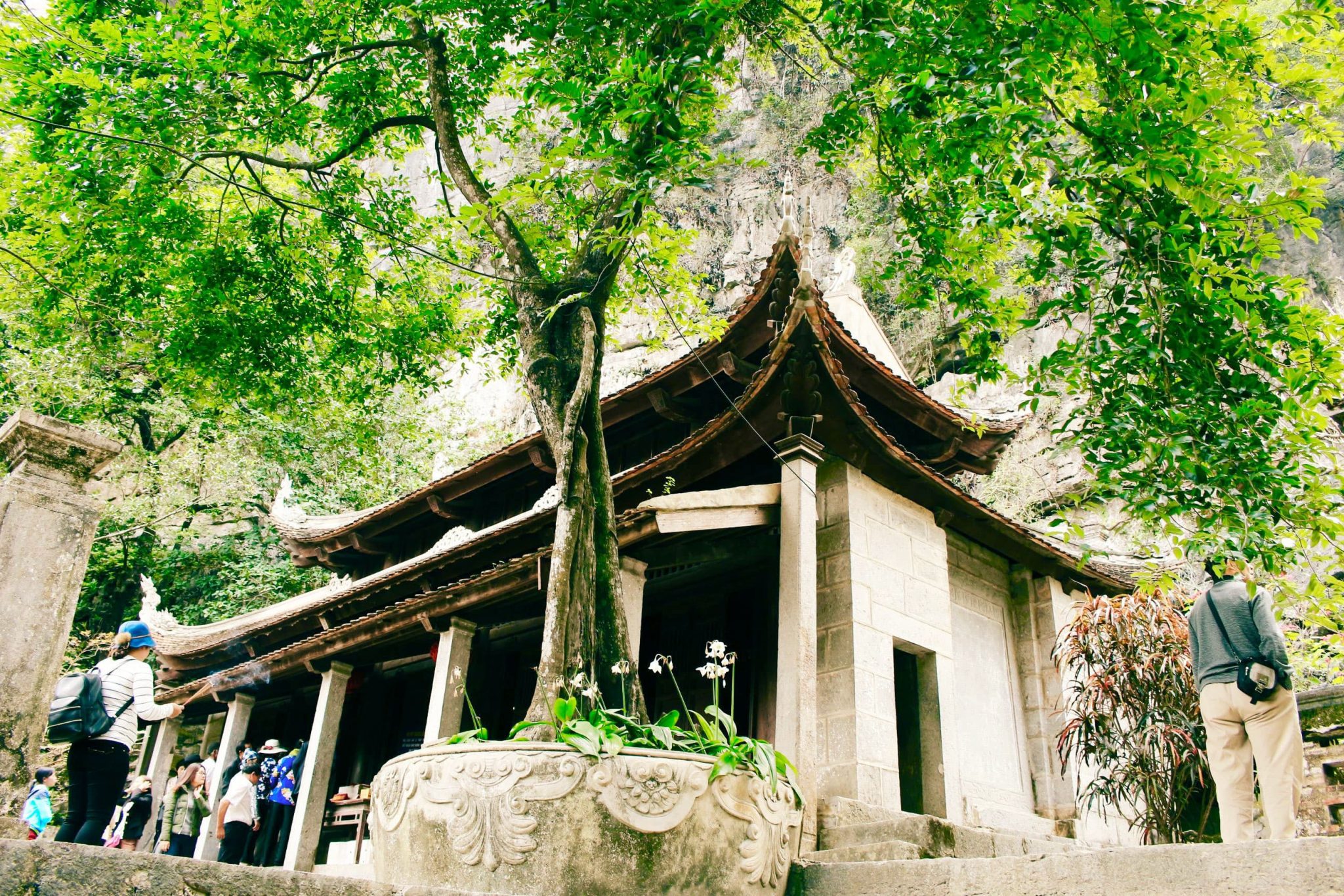 Design Elements of Bich Dong Pagoda