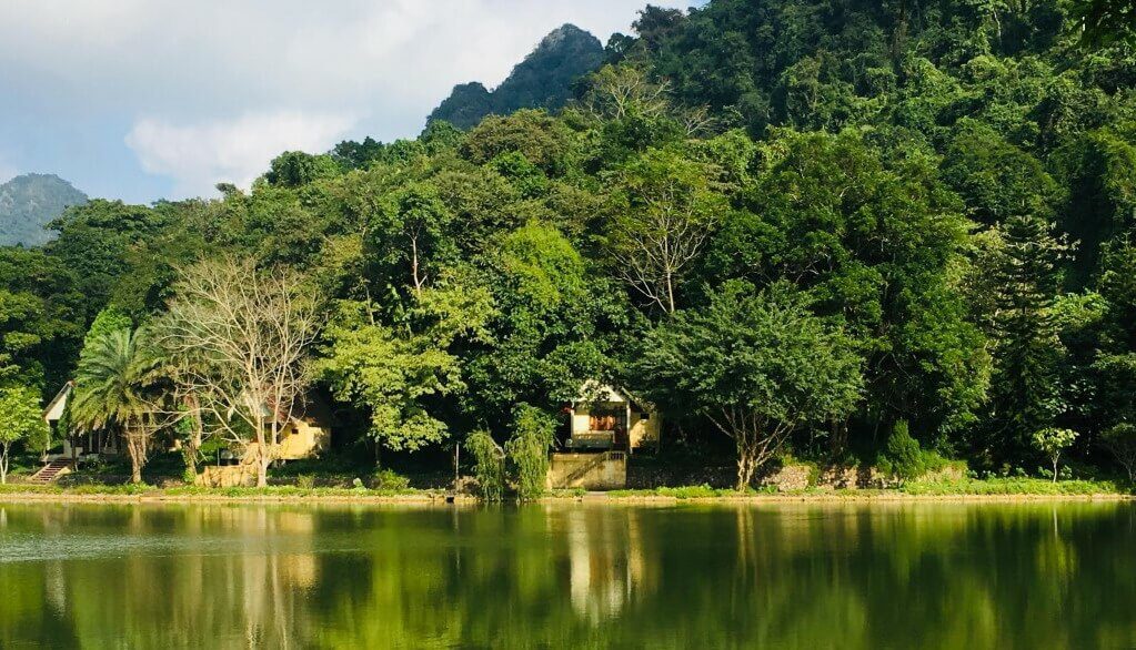 What plants are unique to Cuc Phuong National Park? park