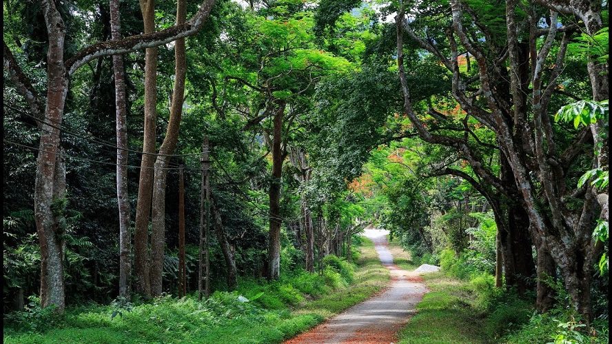 What cultural significance does Cuc Phuong National Park hold?