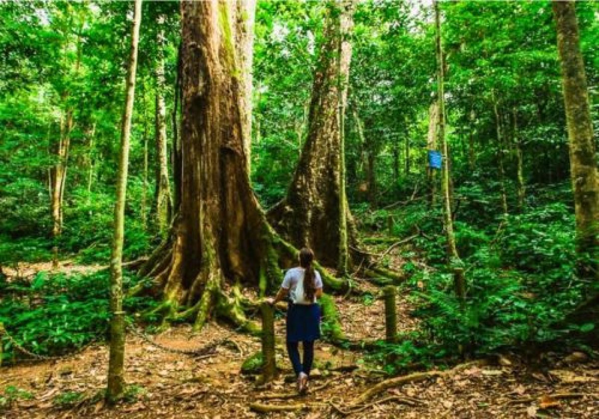 What are the safety tips for visiting Cuc Phuong National Park? park