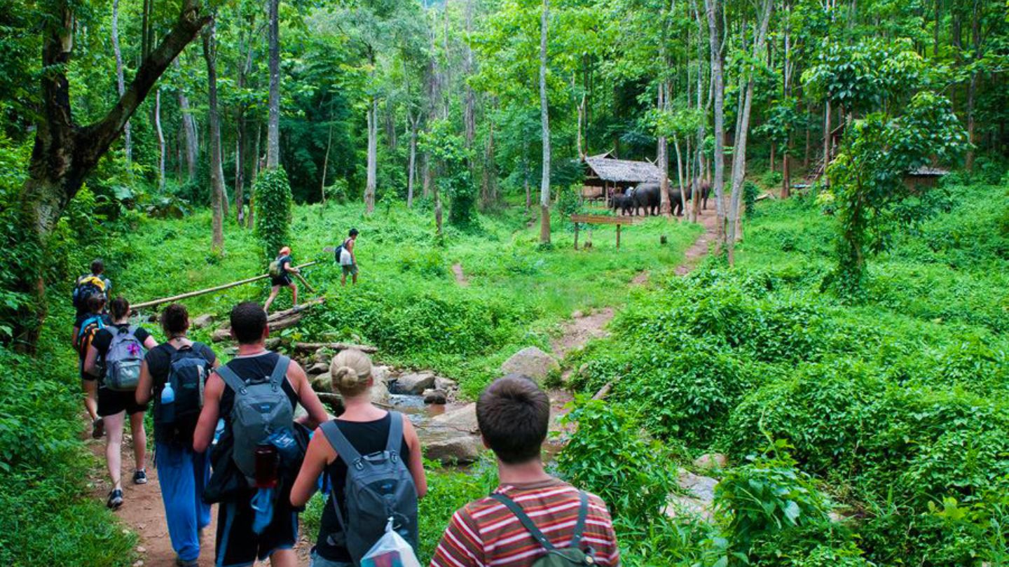 What activities are available in Cuc Phuong National Park? park