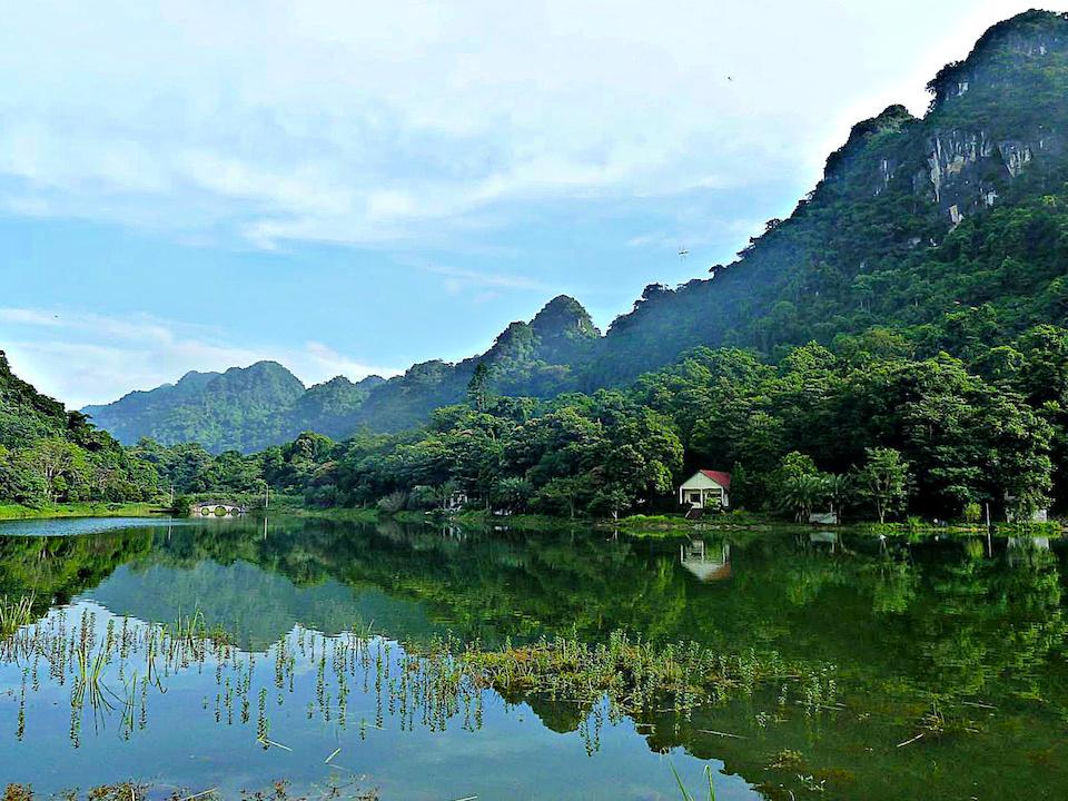 How does Cuc Phuong National Park compare to other parks in Vietnam?