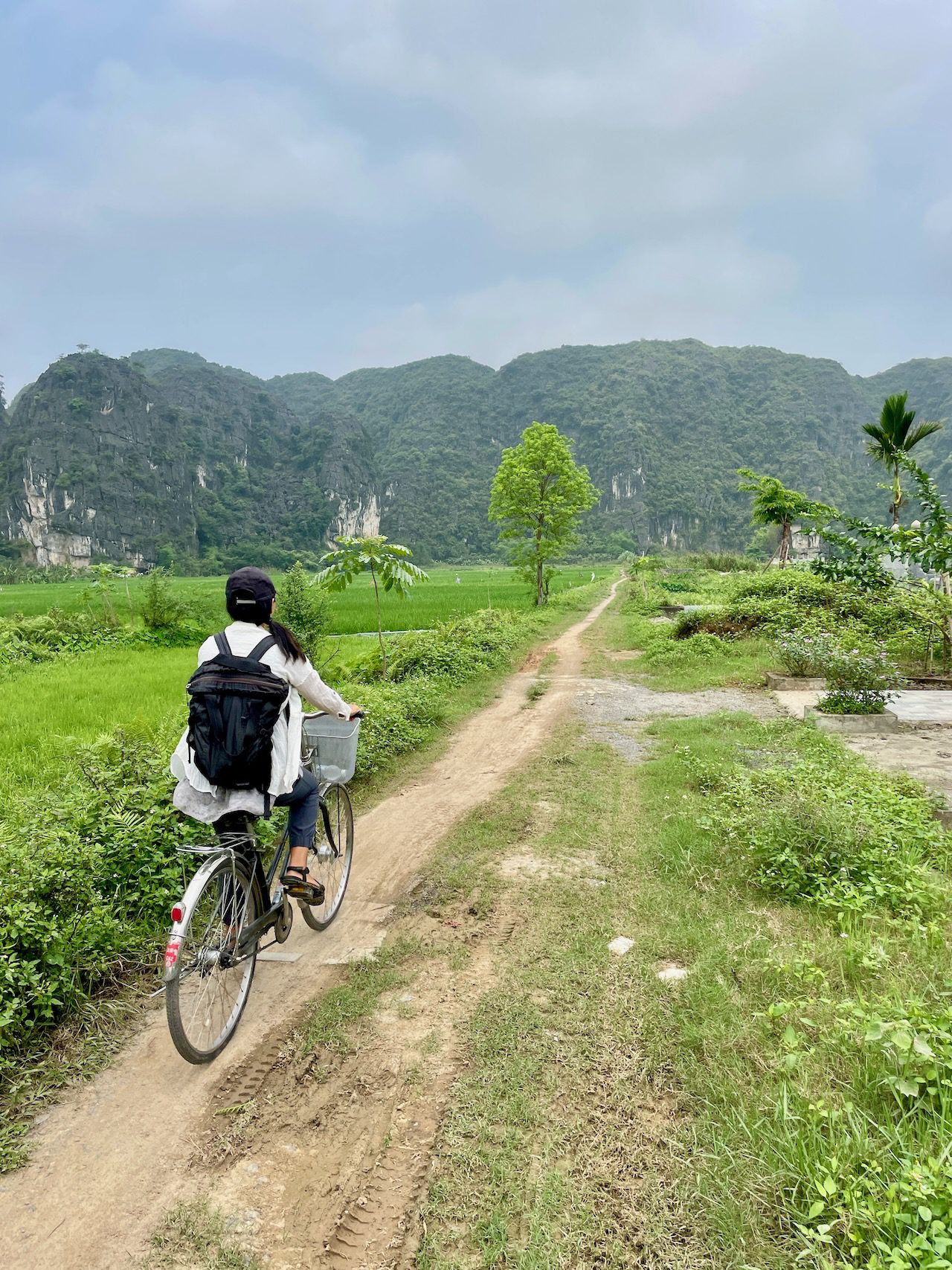 Tips for renting a bicycle in Ninh Binh cycling
