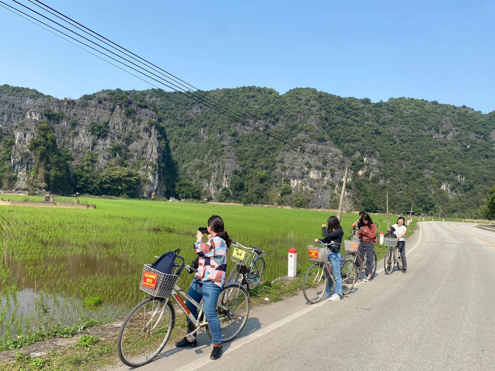 Rental prices and options available cycling in Ninh Binh