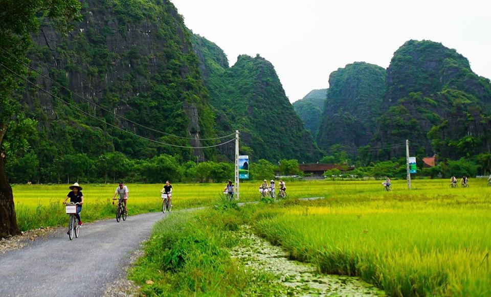 Seasonal highlights on cycling routes in Ninh Binh