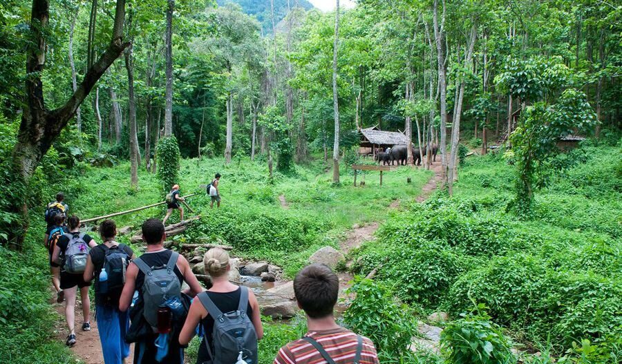 Eco-friendly hiking practices in ninh binh