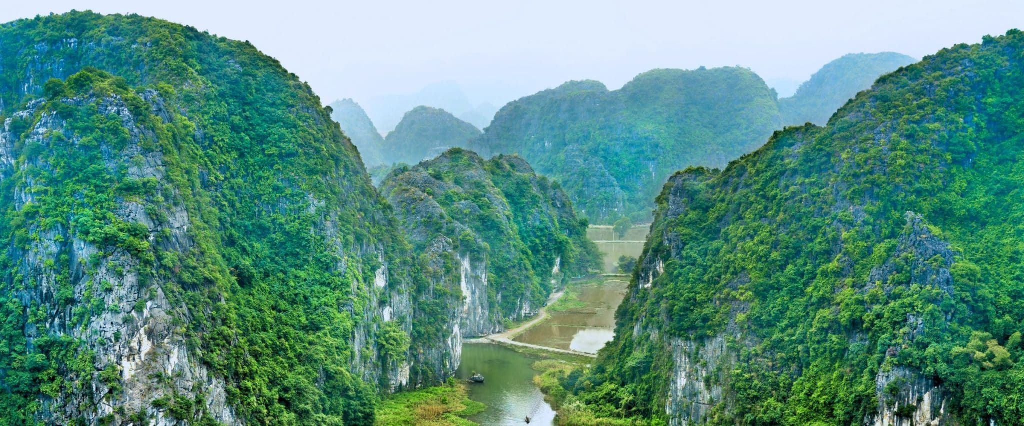 Unique biodiversity found in Ninh Binh caves and grottoes