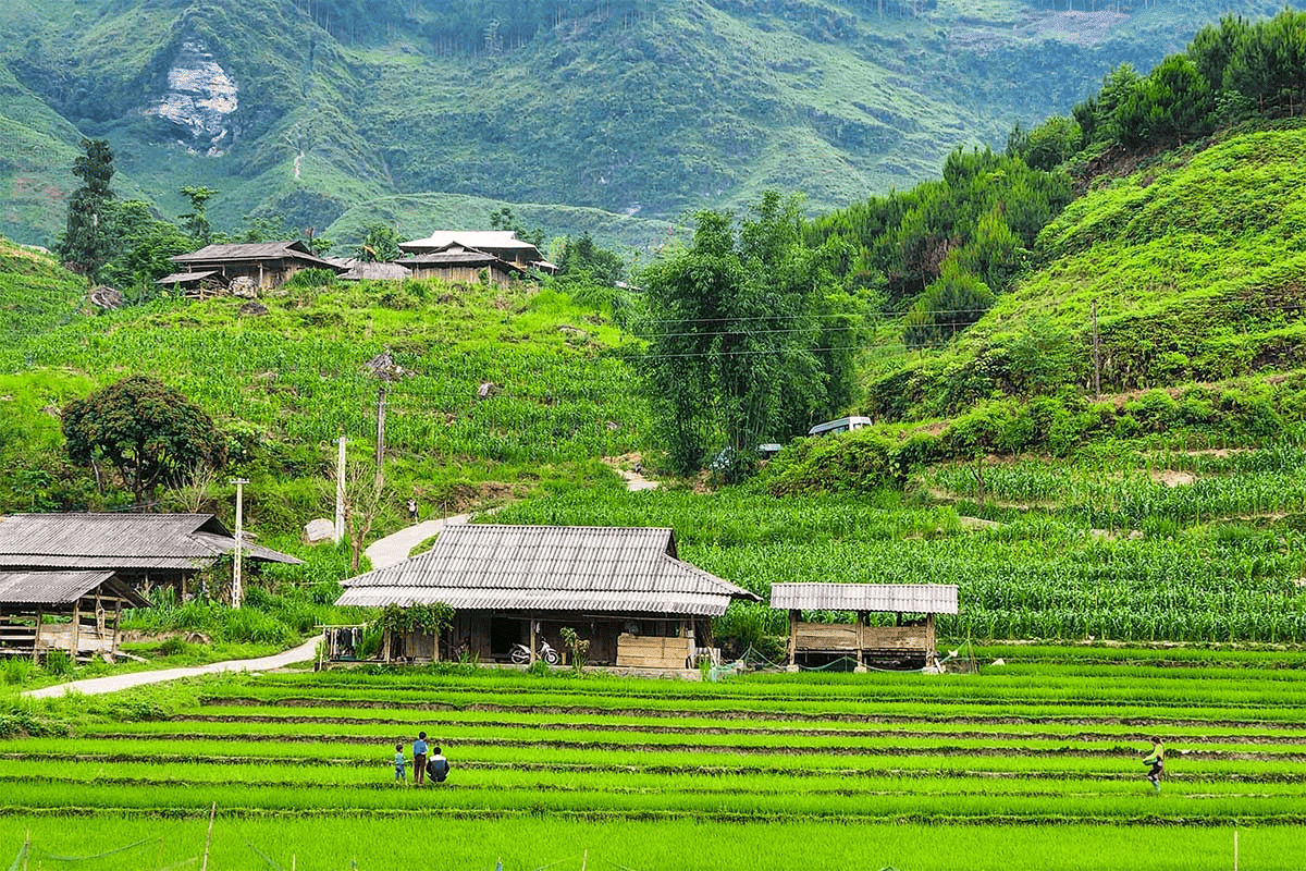 Ha Giang Loop Tours